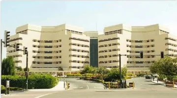 الزمالة السعودية للمشاركة المجتمعية.. مبادرة أولى من نوعها تطلقها جامعة الملك عبدالعزيز